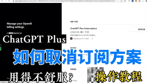 Claude信用卡被拒绝ChatGPT Plus信用卡付款问题